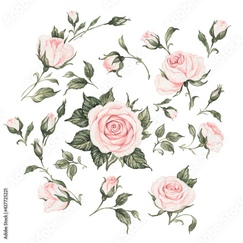 Watercolor illustration of a selection of blooming roses with buds