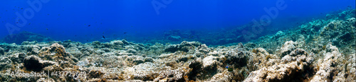 Panorama underwater reef © Johan