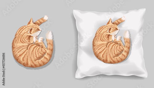 Vector soft fabric pillow mock up for your design. Orange cat slipping on the cushion. Pillows with transparent shadows. View from the top