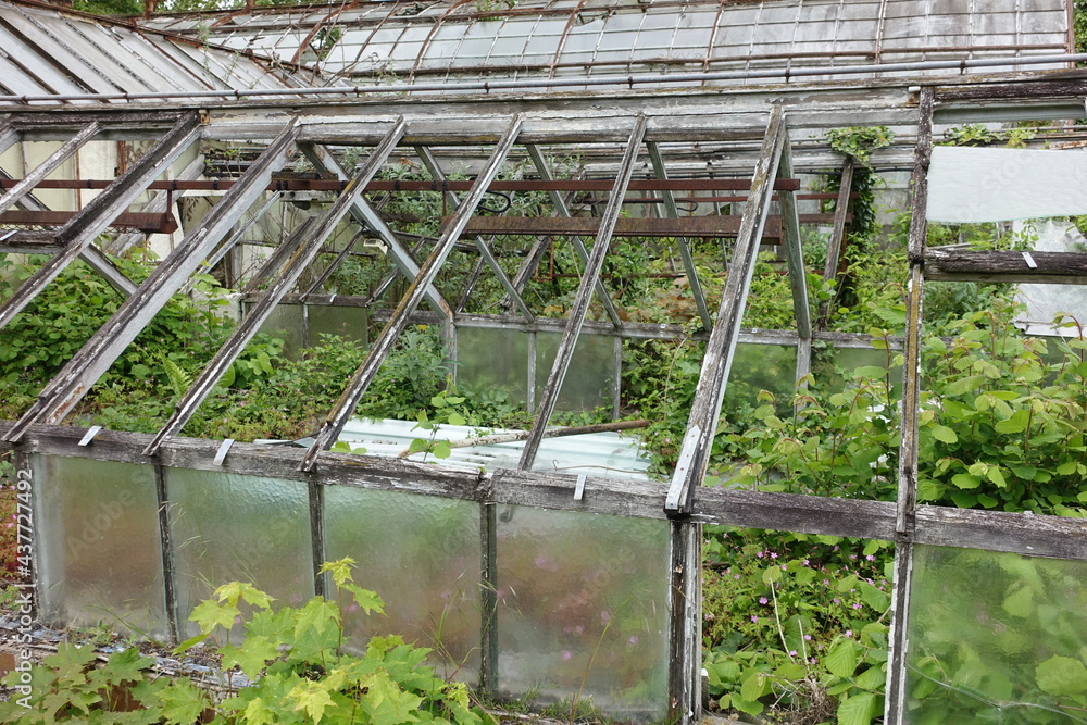 Fototapeta premium Serres cassées et abandonnées