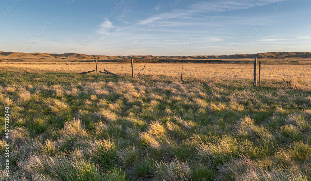 Evening view of an old fence in Grasslands National Park, Saskatchewan, Canada