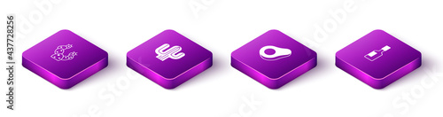 Set Isometric Cactus, , Avocado fruit and Tabasco sauce icon. Vector