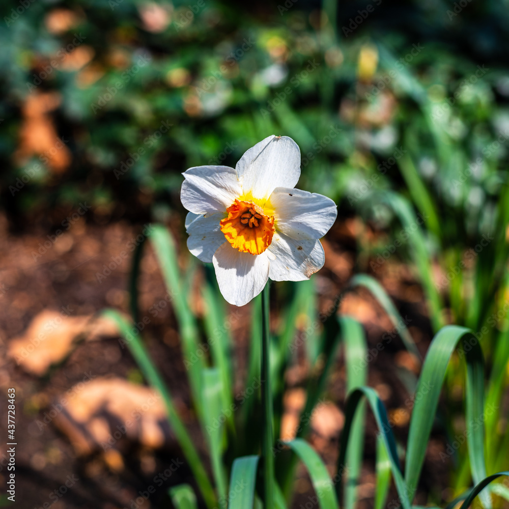 Printemps au Parc de Bercy