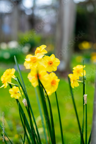 Obraz na płótnie Printemps au Parc de Bercy w salonie