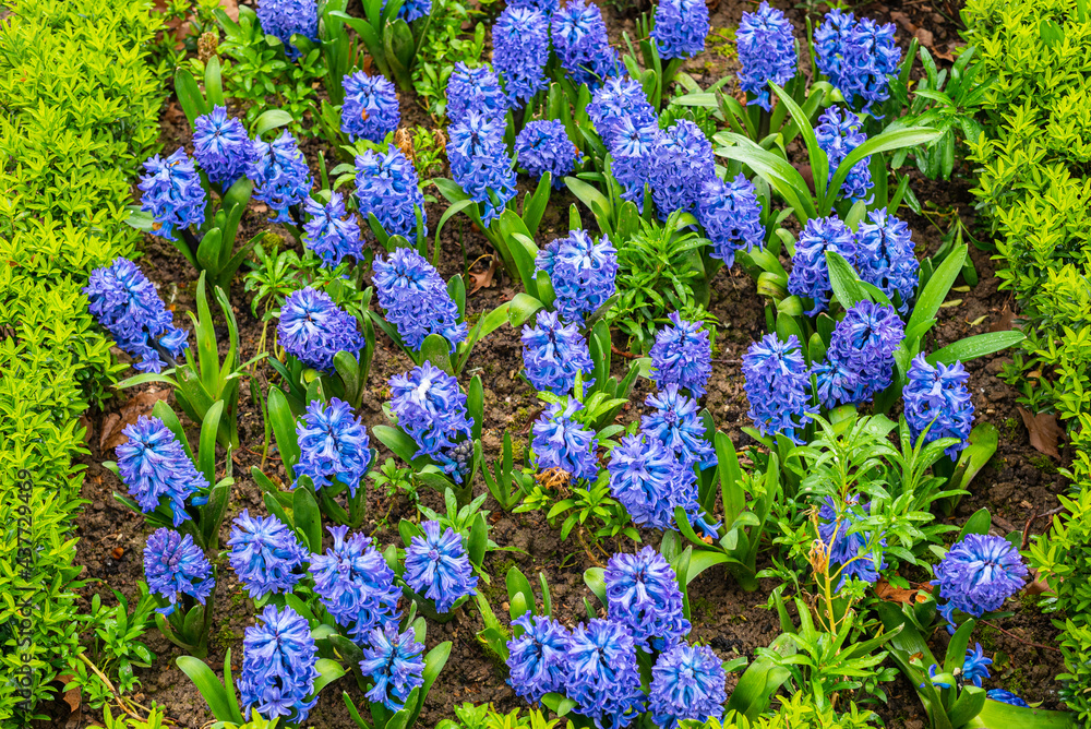 Printemps au Parc de Bercy