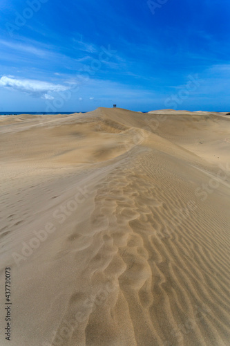 Sand dunes of Maspalomas  Gran Canaria