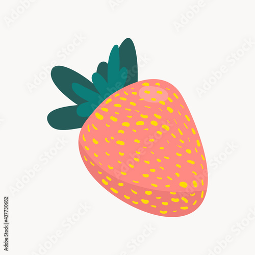 Strawberry fruit vector. Strawberry illustration vector