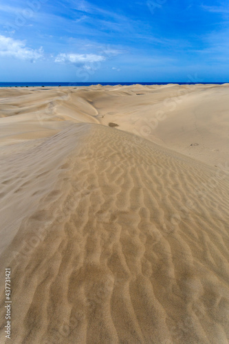 Sand dunes of Maspalomas  Gran Canaria