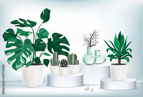 Vector isolated collection with indoor plants.  Collections contains a lot of beautiful plants, cactus, succulents, palms, monstera in different pots with changeable color. Home gardening concept