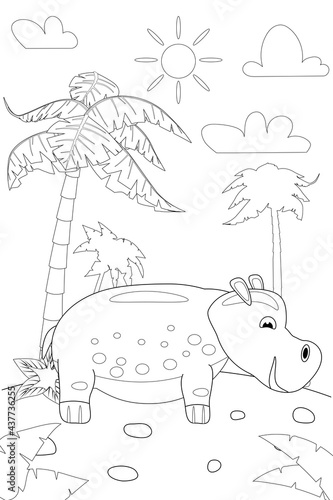 Jungle, Africa safari animal Hippo coloring book edicational illustration for children. Vector white black cartoon outline illustration