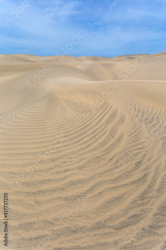 Sand dunes of Maspalomas  Gran Canaria