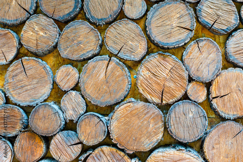 Texture square wooden bars .  background of a tree.  Wood Texture  Wooden Plank  Background.