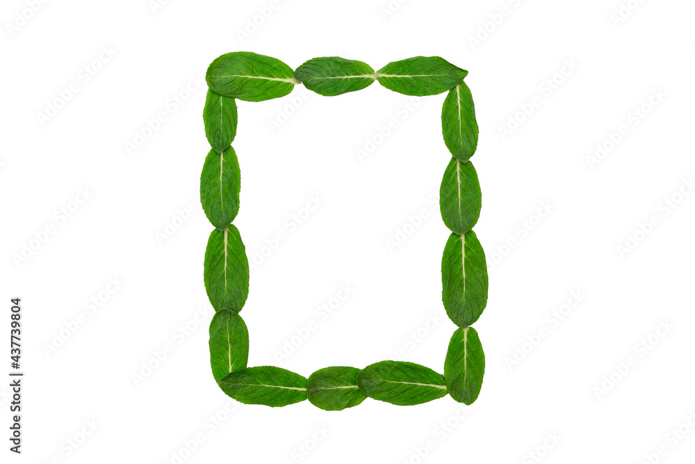 Creative minimal concept, frame of green mint leaves on white isolated background. Flat lay. Copy space. top view Creative minimal concept, frame of green mint leaves on white isolated background. Flat lay. Copy space. top view