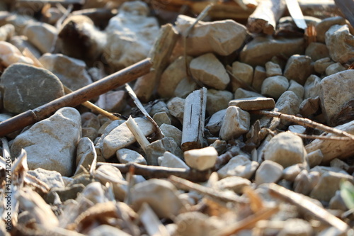 Small stones at the bank of a lake or a river illuminated by the evening sun. photo