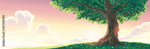 Summer landscape with cloudy sky and old lone tree in the foreground.