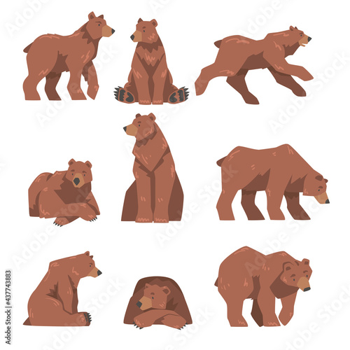 Brown Bear in Different Poses Set, Large Wild Predator Mammal Animal Cartoon Vector Illustration