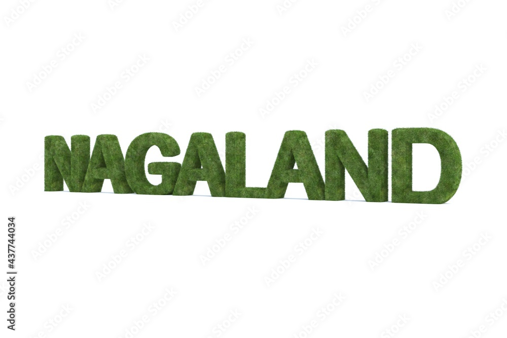 3d rendering of green grass NAGALAND word isolated on white background 3d rendering of green grass NAGALAND word isolated on white background