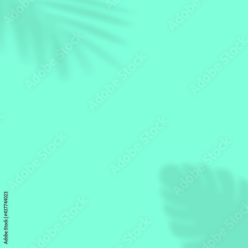 Summer background with shadow of tropical leaves. Vector © Azad Mammedli