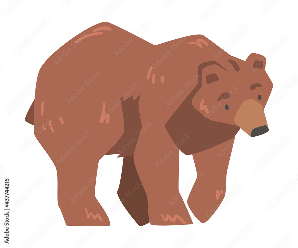 Walking Brown Bear, Large Wild Predator Mammal Animal Cartoon Vector Illustration Walking Brown Bear, Large Wild Predator Mammal Animal Cartoon Vector Illustration