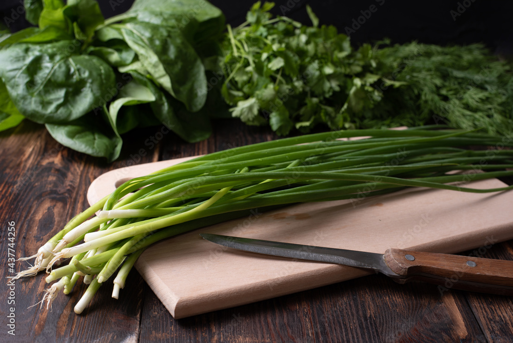 Freshly picked bunch of green onions on a cutting board with dill, spinach, cilantro on a dark wooden background, raw food concept. Freshly picked bunch of green onions on a cutting board with dill, spinach, cilantro on a dark wooden background, raw food concept.