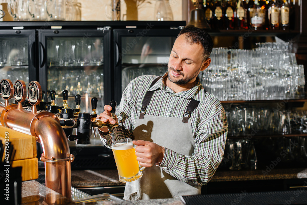 Close-up of a bearded bartender filling a mug of lager beer. The bar counter in the pub.