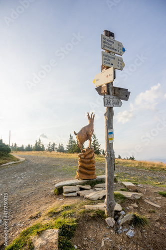 Tourist signpost with wooden chamois statue in the Czech republic mountains Jeseniky on the top of Serak mountain. photo