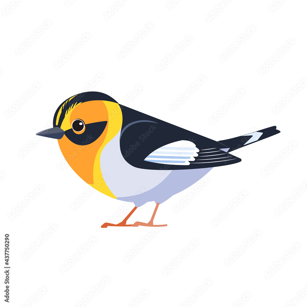 Obraz premium Blackburnian warbler is a small New World warbler. Setophaga fusca. Bird Cartoon flat style beautiful character of ornithology, vector illustration isolated on white background