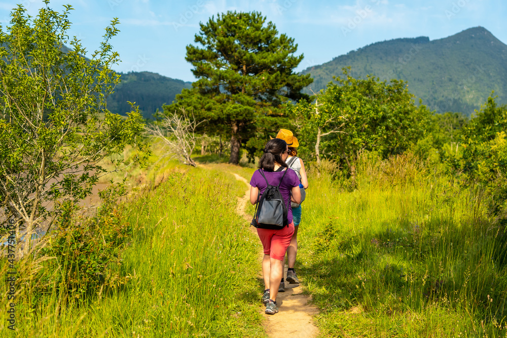 Two friends walking along the beautiful path between trees in the Urdaibai marshes, a Bizkaia biosphere reserve next to Mundaka. Basque Country Two friends walking along the beautiful path between trees in the Urdaibai marshes, a Bizkaia biosphere reserve next to Mundaka. Basque Country
