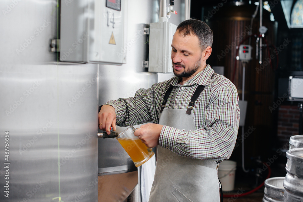 A young bearded brewer conducts quality control of freshly brewed beer in the brewery. A young bearded brewer conducts quality control of freshly brewed beer in the brewery.