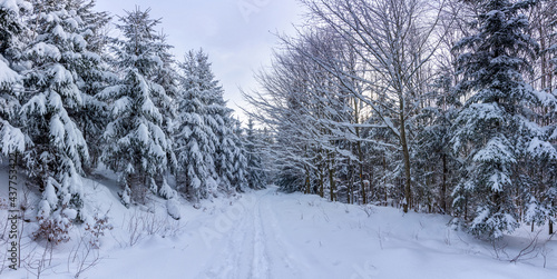 Winter heavy snowy landscape in Jeseniky mountains. Road from Pomezi to viewpoint of Medvedi kamen.