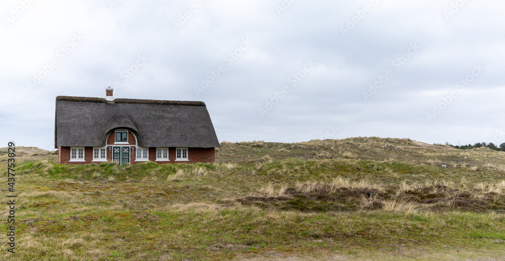 traditional Danish house with thatched reed roof in a coastal sand dune landscape traditional Danish house with thatched reed roof in a coastal sand dune landscape