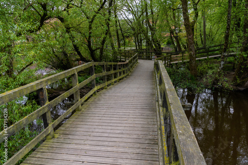 wooden boardwalk leading over the canals and through the forest in the city park of Ribe