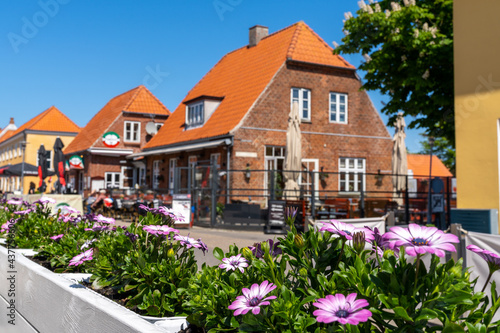 selective focus of pretty flowers and the many restaurants and buildings on the main street of Skagen