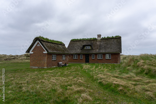traditional Danish house with thatched reed roof in a coastal sand dune landscape © makasana photo
