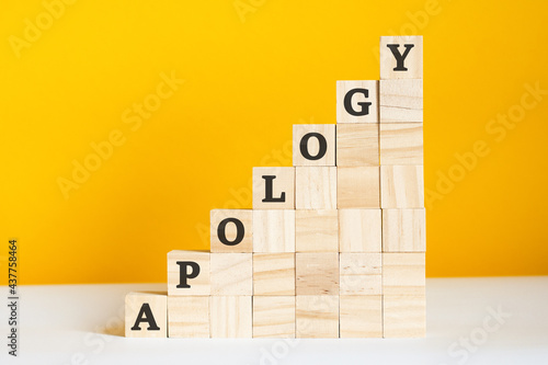 Obraz na plátně the word apology is written on a wooden cubes, concept