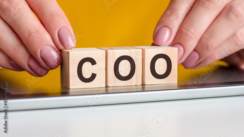 word coo made with wood building blocks, stock image
