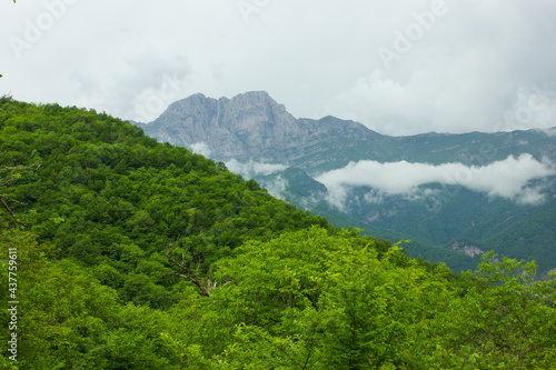 view of dense forest and mountain. Mount Khustup photo