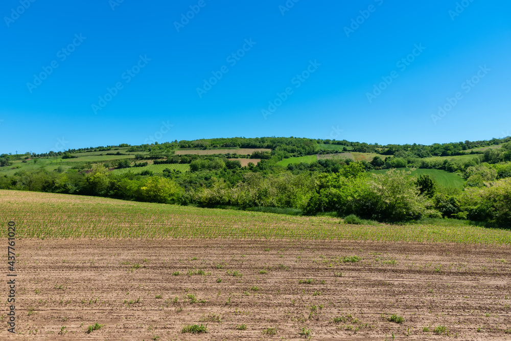 Mount Fruska Gora. Beautiful arable land in Vojvodina, orchards and fertile agricultural soil near the Fruska Gora, Serbia