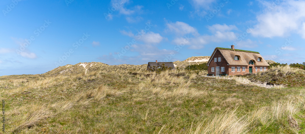 traditional Danish houses with thatched reed roof in a coastal sand dune landscape traditional Danish houses with thatched reed roof in a coastal sand dune landscape