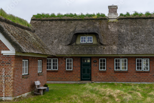 traditional Danish house with thatched reed roof in a coastal sand dune landscape