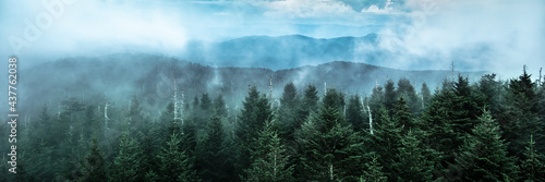 Panoramic View Of Mountain Ridges With Fog And Pine Trees At Dusk