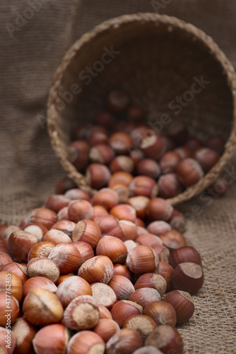 Hazelnuts spilling out of the basket onto the surface covered with a jute sack