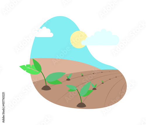 Agriculture icons with sprout, plant, tree growing. Flat style vector illustration
