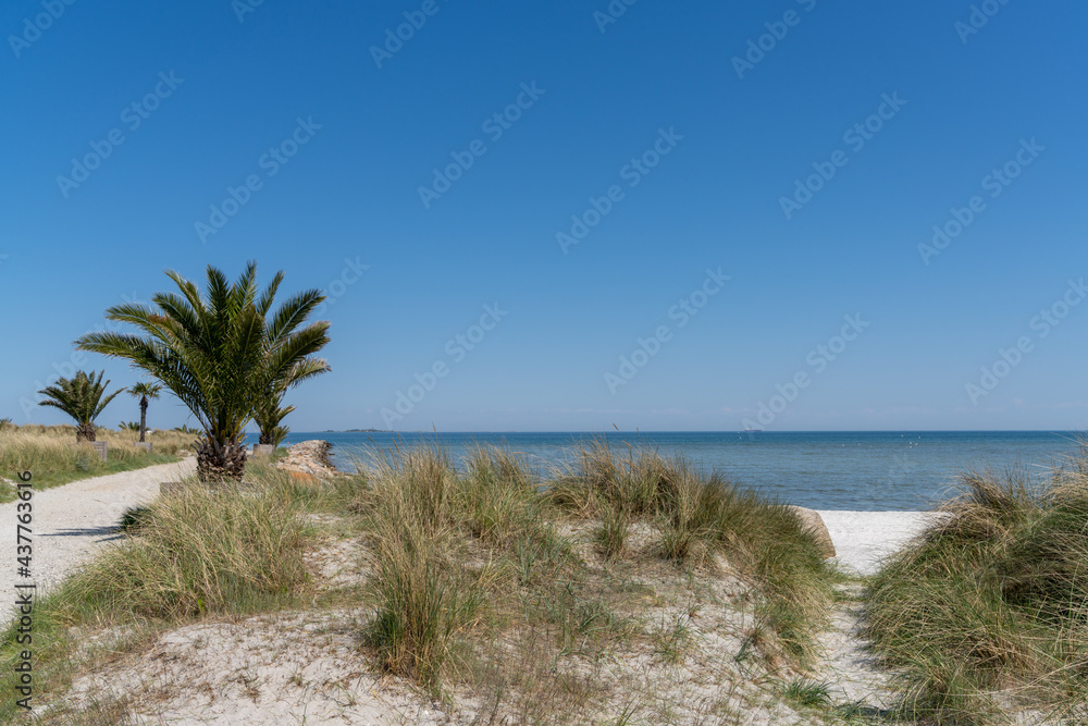 sandy path leading to the Palm Beach in Frederikshavn sandy path leading to the Palm Beach in Frederikshavn