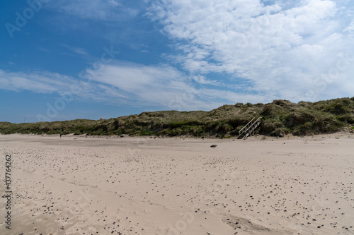 Fototapeta Naklejka Na Ścianę i Meble -  wooden stairs lead over tall grassy sand dunes onto an empty picturesque golden sand beach