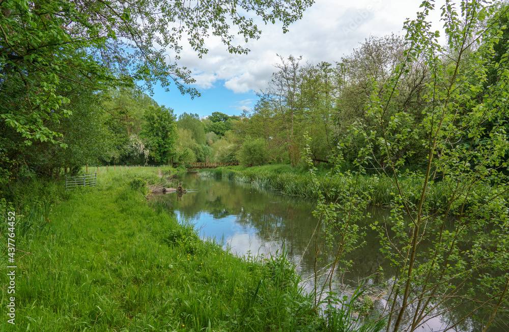 Fototapeta premium a scenic view along the world heritage site river avon in Wiltshire