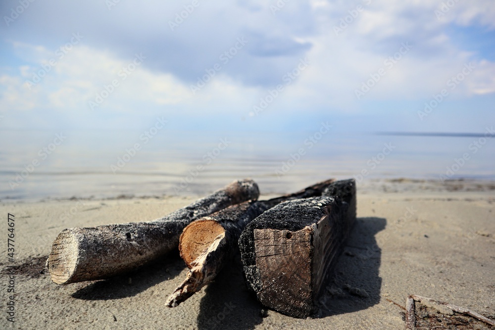 Close-up of burnt firewood lies on the sand on the shore of a calm lake Close-up of burnt firewood lies on the sand on the shore of a calm lake