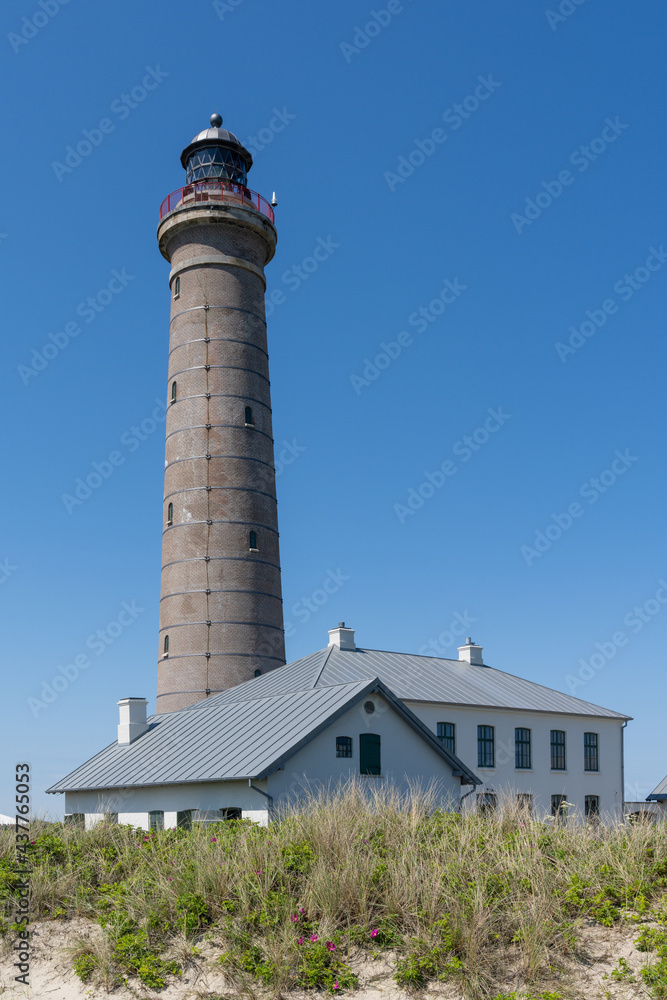 view of the lighthouse of Skagen and sand dunes with grasses in the foreground