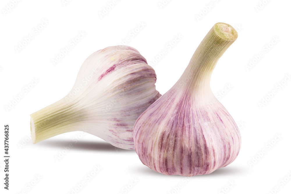 Obraz premium Garlics isolated on white background