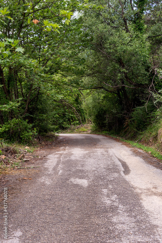 Country road in a mountain forest (Peloponnese, Greece)